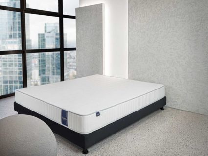 Матрас Materlux Ecologic Dream 36